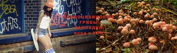 каннабис Алзамай